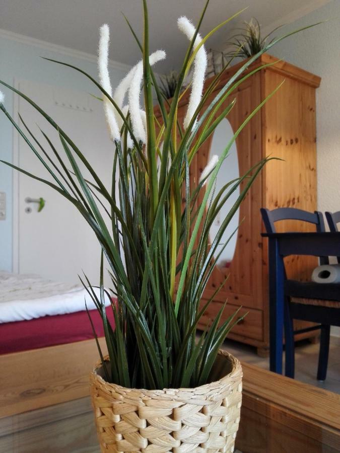 180° Panoramameerblick - Ferienwohnung Sandkorn Cuxhaven Zewnętrze zdjęcie